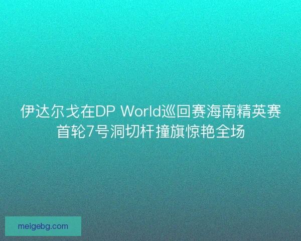 伊达尔戈在DP World巡回赛海南精英赛首轮7号洞切杆撞旗惊艳全场